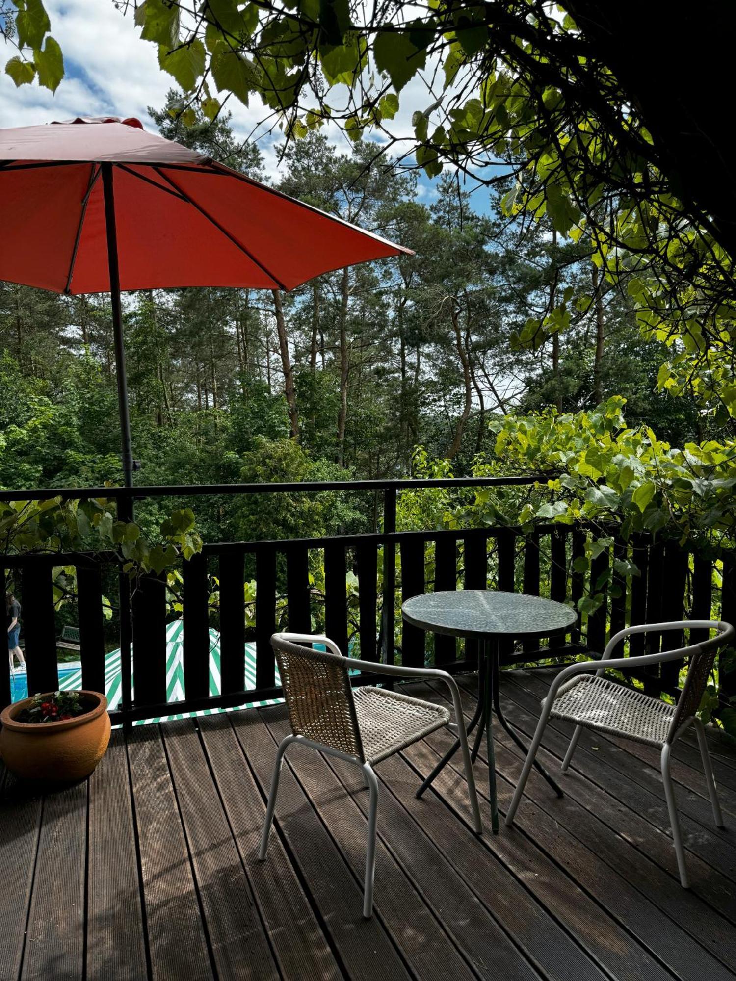 Holiday Villa Żuromin Exteriér fotografie