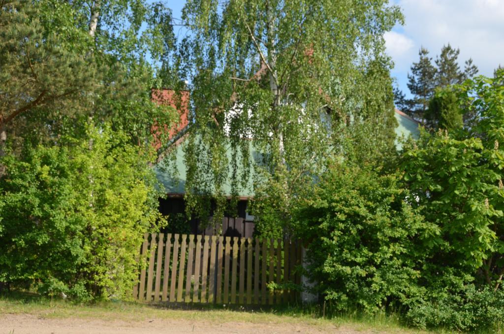 Holiday Villa Żuromin Exteriér fotografie
