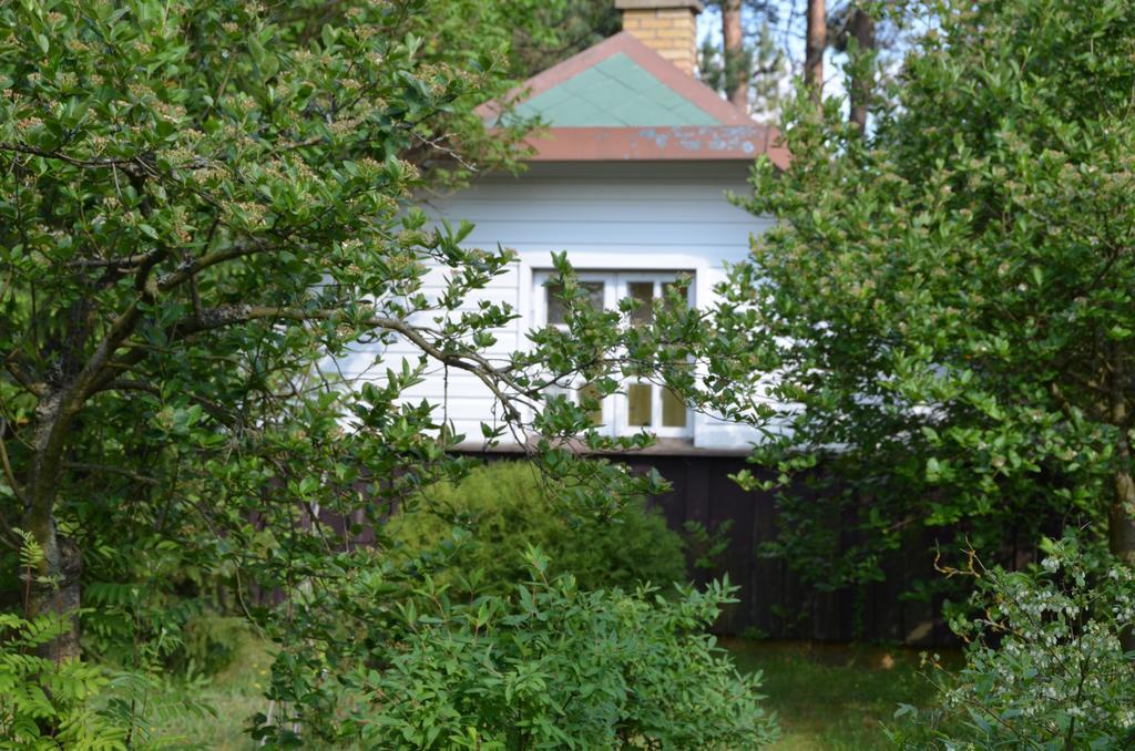 Holiday Villa Żuromin Exteriér fotografie