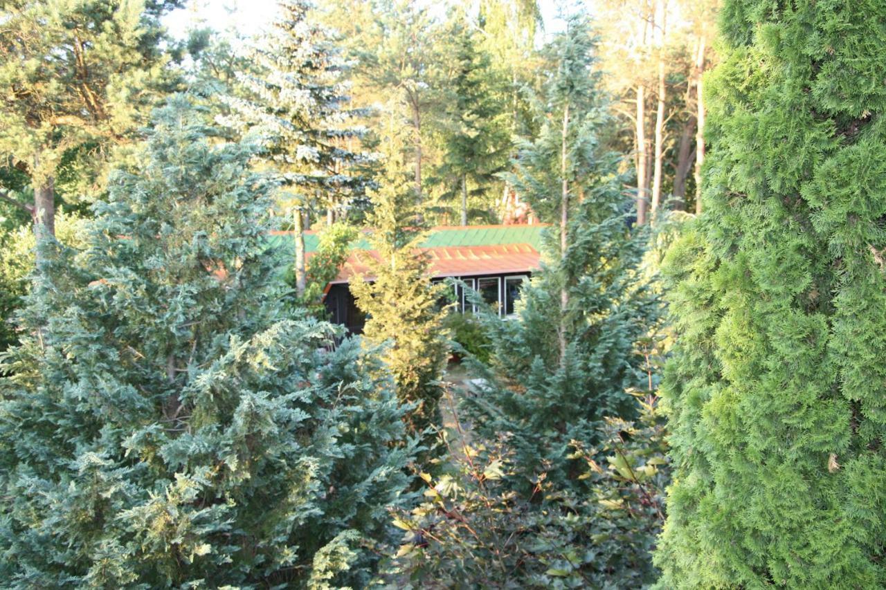 Holiday Villa Żuromin Exteriér fotografie